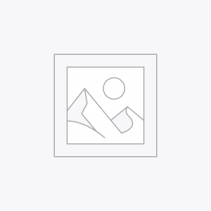 Uncategorized