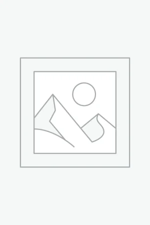 Havalı Tabanca Mermisi